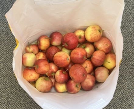 Screenshot 2025 10 08 130024