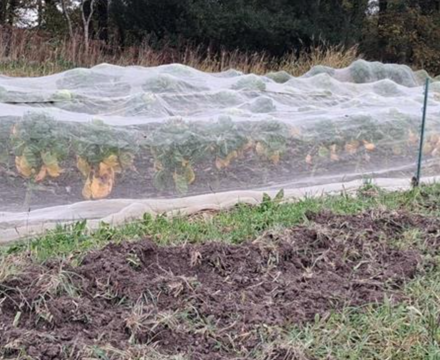 Screenshot 2025 11 18 152936