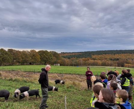 Screenshot 2025 11 18 152907