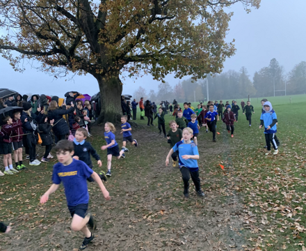 Screenshot 2025 11 19 084032