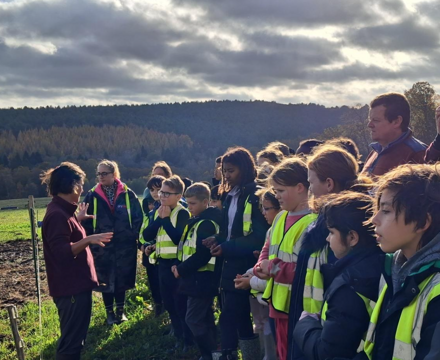 Screenshot 2025 11 19 084747