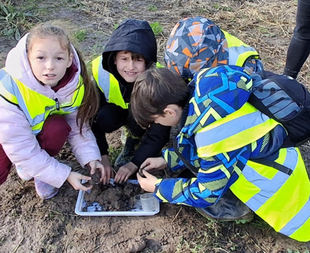 Screenshot 2025 11 19 084601