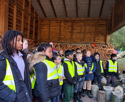 Screenshot 2025 11 19 084504