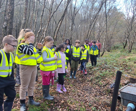 Screenshot 2025 11 19 084428