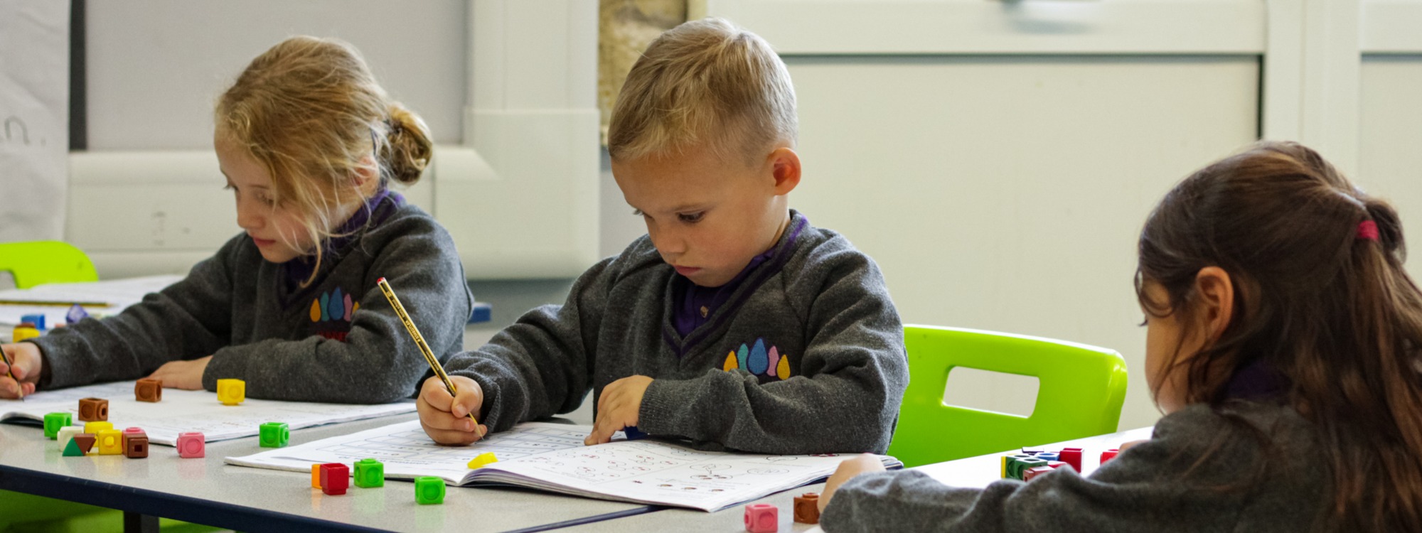 Web Page Header Image (increase size 3.125)