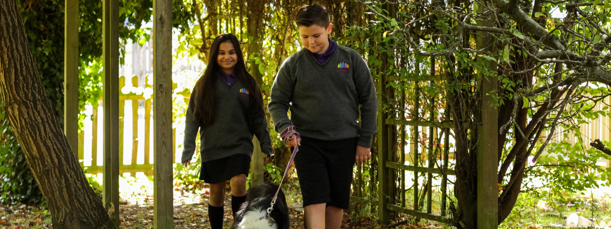 Web Page Header Image (increase size 3.125) (3)