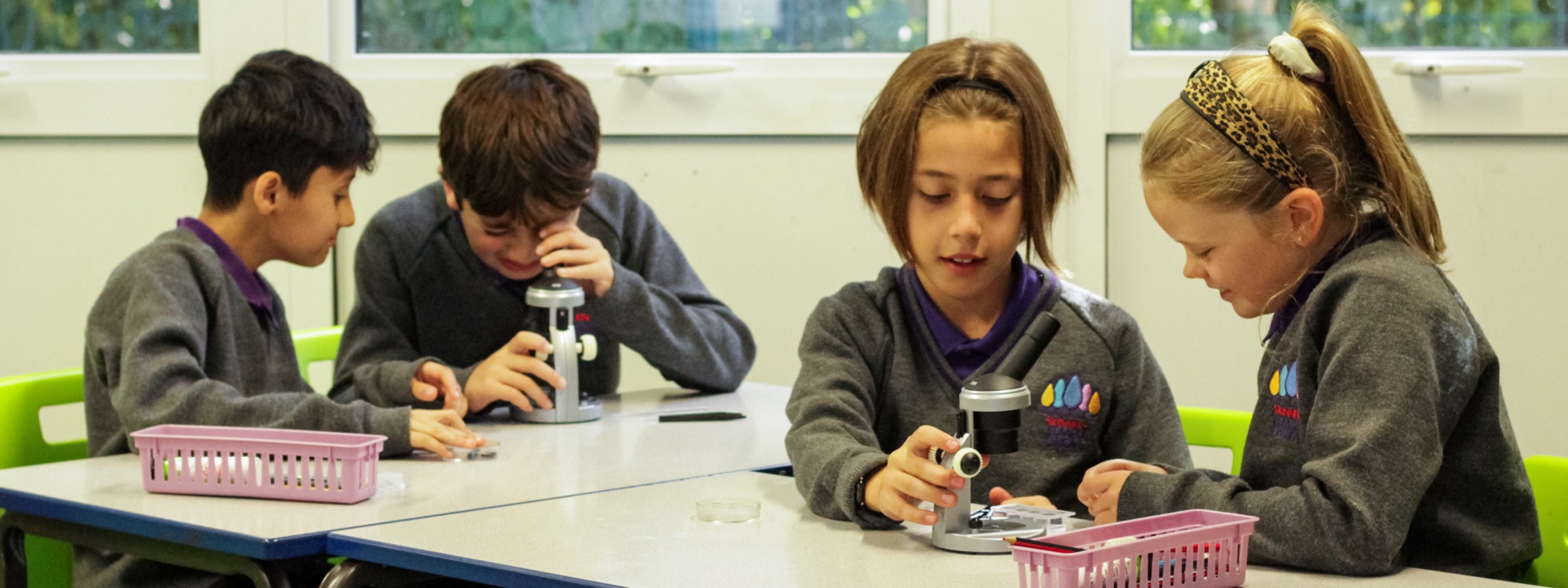 Web Page Header Image (increase size 3.125) (5)